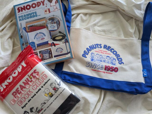 出しっぱなしでもおしゃれな大きなインテリアトート BOOK