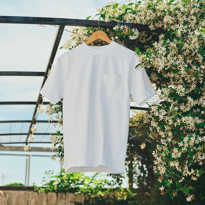 猛暑は白Tで乗り切る！おすすめ白Tシャツ12選【マイスタンダードブックまとめ】