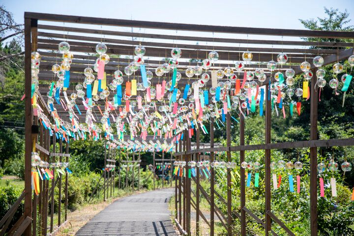 風にそよぐ6000個の風鈴が青空に映える「関ヶ原願掛け風鈴まつり2024」