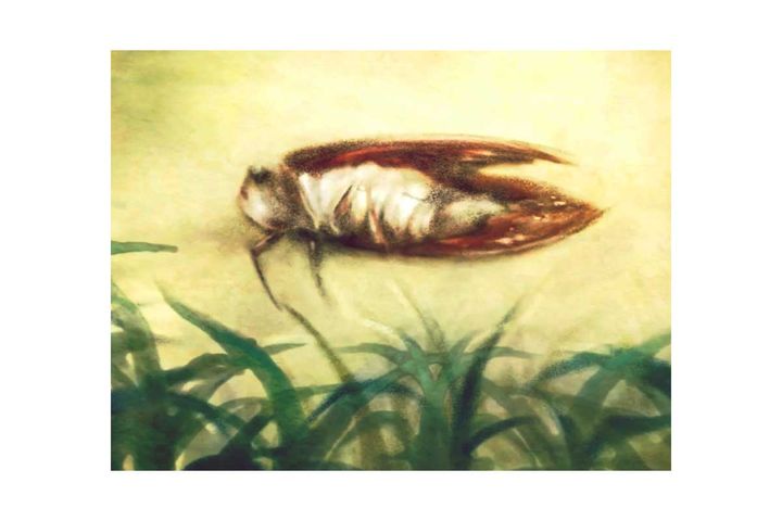 セミファイナル、ご存じですか？