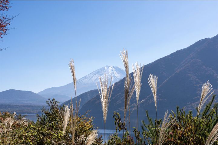 【二十四節気】8月22日「処暑」