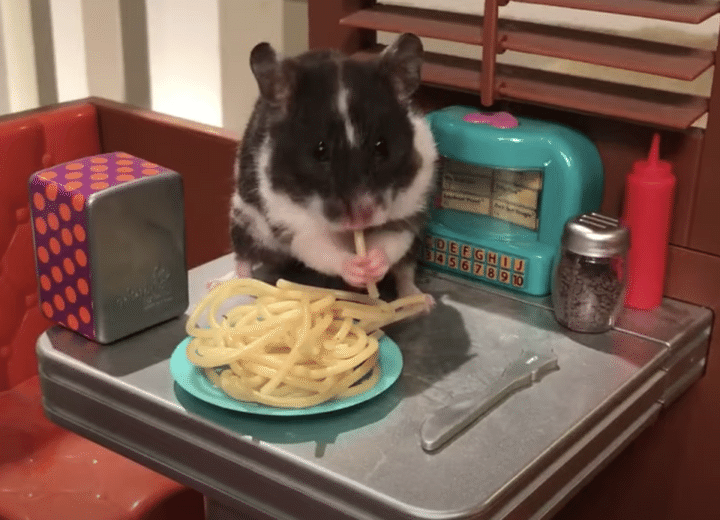 ドールハウスでハムスターにご飯をあげてみたら、とっても可愛い映像に！