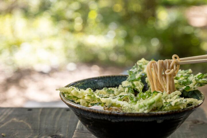 軽井沢の森でおいしいもの探し♪「軽井沢コモングラウンズ」で過ごす休日