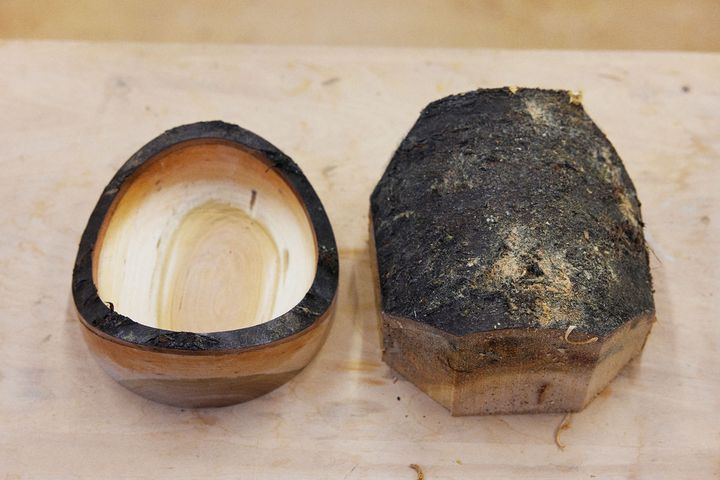 森のトレーと木株