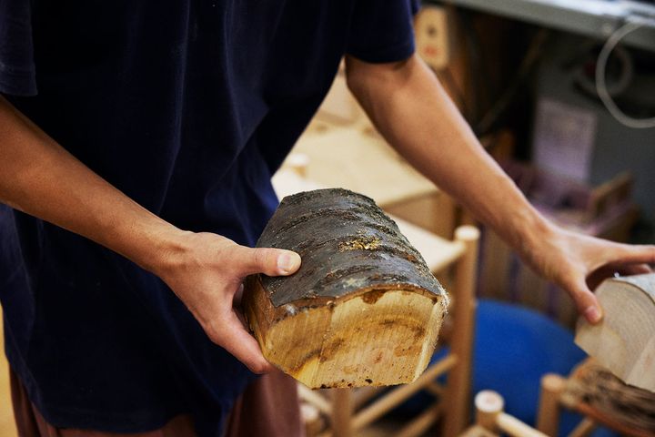 木株を持っている手の写真