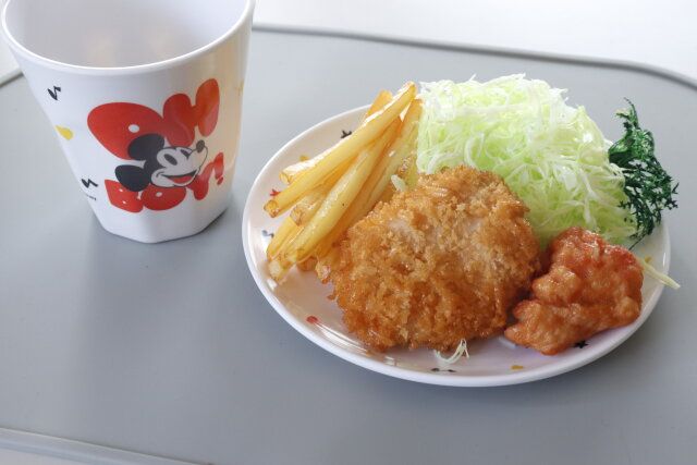 ダイソー メラミンカップ メラミンプレート 使用例