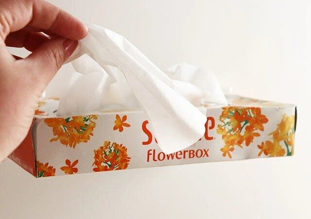 ダイソー ボックスホルダー（マグネット） 使用例