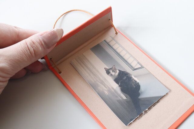 ダイソー 壁掛けペーパーフォトフレーム 使用例