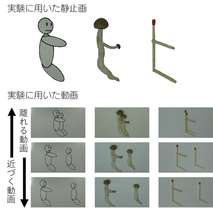 実験に用いた静止画（上）と動画（下）