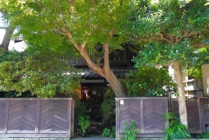 日本の伝統的な手仕事を集めた鎌倉の「もやい工藝」で見つける♪ティータイムがより楽しくなるお皿とカップ