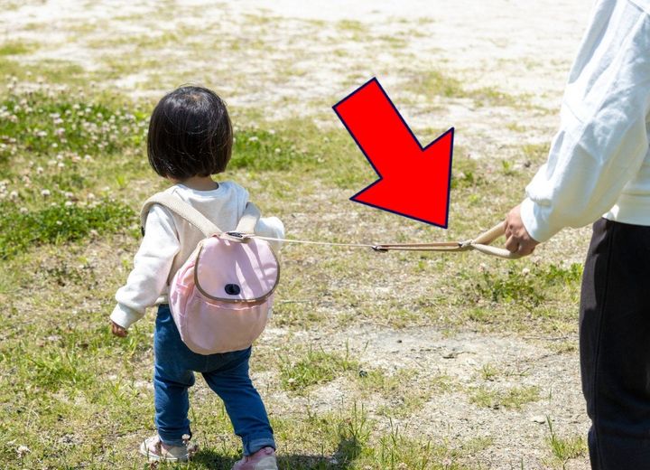 「ペットみたい」の声も…あなたはどう思う？（画像はイメージ）