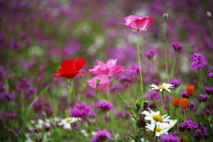 Photo_ imstocks/123RF