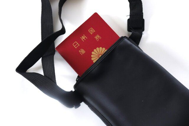 ダイソー300円黒バッグレビュー透けないポケット付き