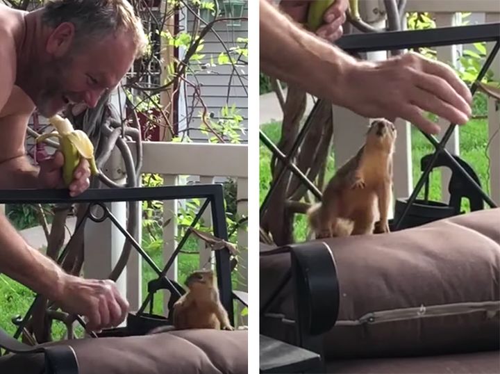 リスと遊ぶおじさま、めちゃくちゃ楽しそう♪