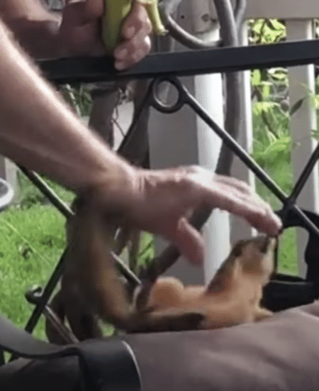 リスと遊ぶおじさま、めちゃくちゃ楽しそう♪