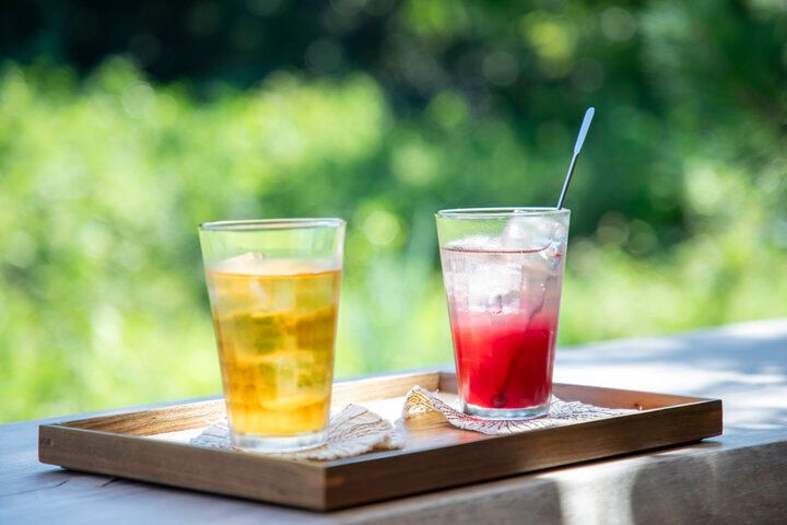 岐阜・大垣の里山カフェ「田の中屋」。思わず“ただいま”と言いたくなる懐かしさと居心地のよさ