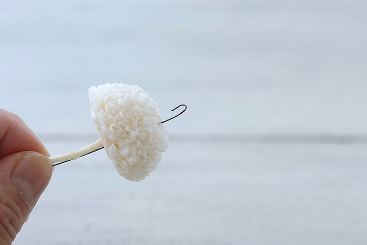 ポンポンギクのワイヤリング