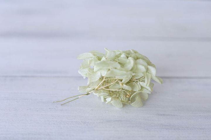 アナベルのワイヤリング