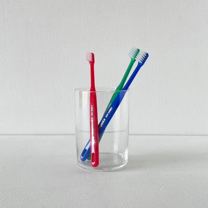 ライオン システマ44M