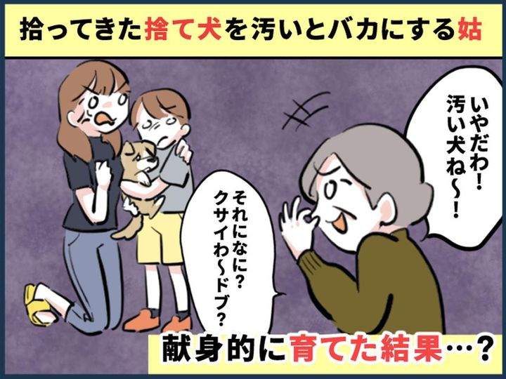 画像: 「うわ！ 汚い犬ねぇ」【捨て犬をバカにした姑】だが → 拾った息子が育てていたら、突然！？