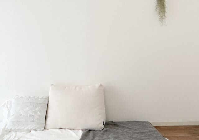 ミニマリスト 最近購入したもの