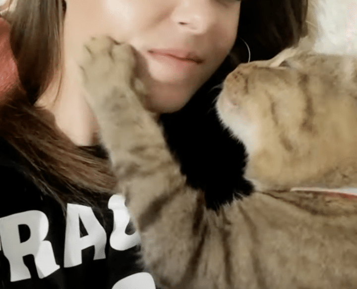 ご主人さま大好き！！キスが止まらない猫さん。