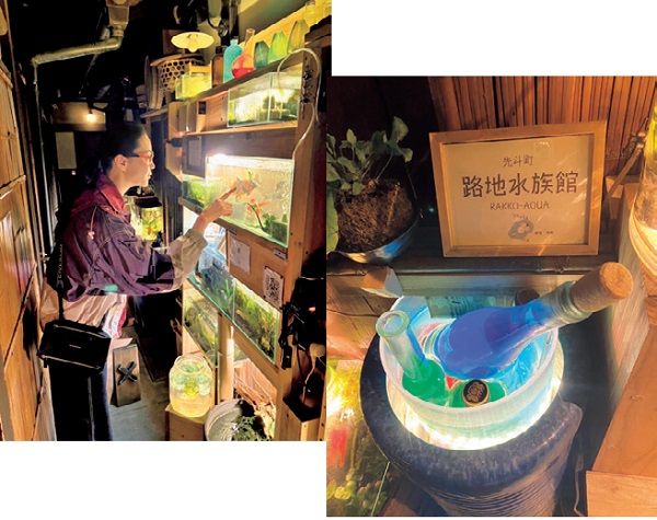 観月ありささん連載 京都 先斗町の路地裏水族館