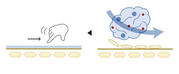 「フォームタイプ」のおすすめプチプラ洗顔料7選_1.オルビス オルビスユー ドット フォーミングウォッシュ フォーミングウォッシュ_こだわりポイント