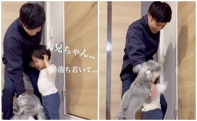 パパが大好きな男の子とワンちゃん