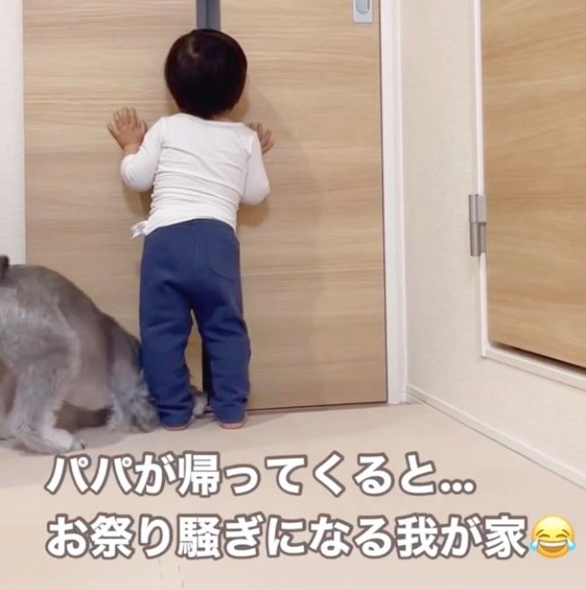 パパが大好きな男の子とワンちゃん