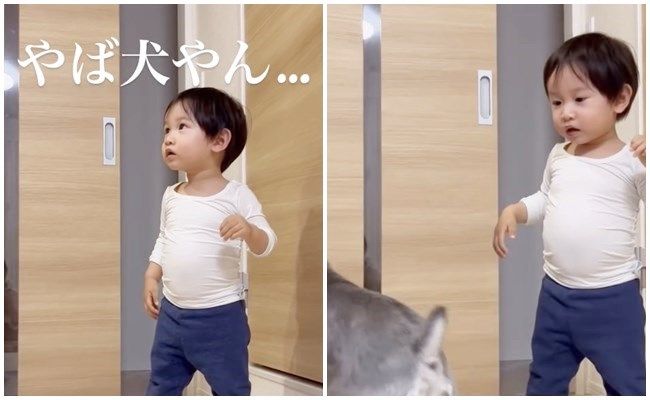 パパが大好きな男の子とワンちゃん