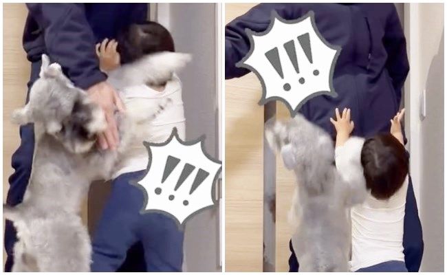 パパが大好きな男の子とワンちゃん