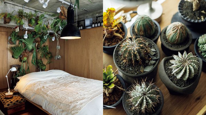 〈wapiti〉〈yacipoci〉〈poru〉オーナー・秋谷直弘／秋谷とも恵 自宅 リビング