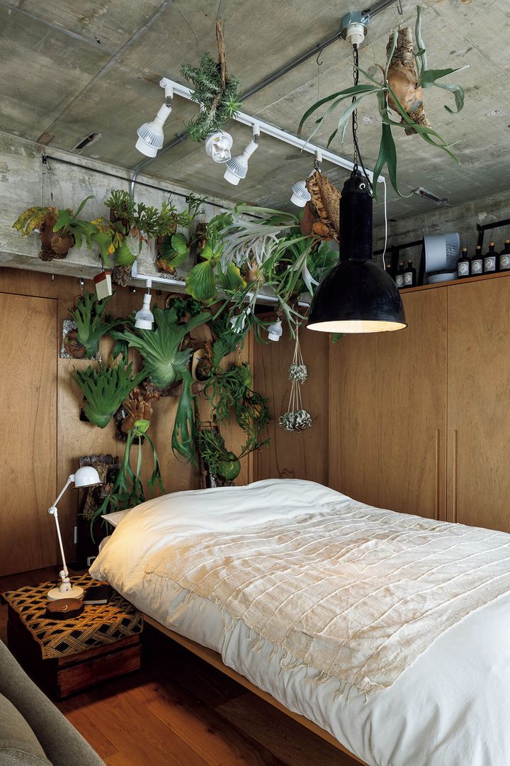 〈wapiti〉〈yacipoci〉〈poru〉オーナー・秋谷直弘／秋谷とも恵 自宅 リビング