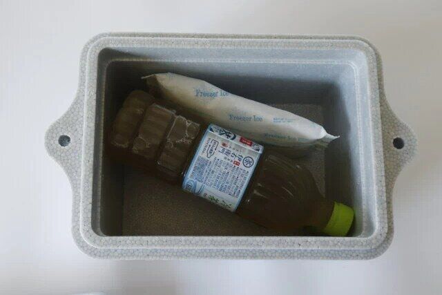 ダイソーのグレーカラーの発泡クーラーBOXに500のペットボトルと保冷剤