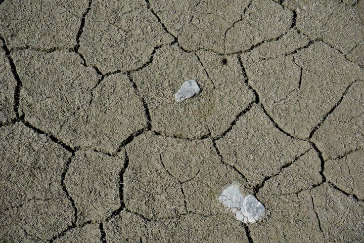 Photo_ brians101 / 123RF