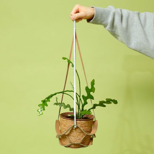 妻へ贈る「一年目の結婚記念日プレゼント」おすすめ11選！相場と選び方も解説