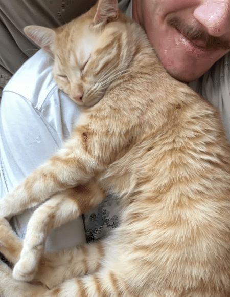 くっついて寝るのが好きな子猫、6ヶ月後に見せた寝相にほっこり！