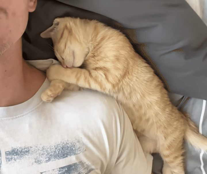 くっついて寝るのが好きな子猫、6ヶ月後に見せた寝相にほっこり！