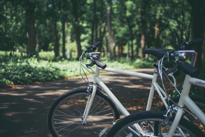 《カインズ》のエアコン室外機カバーがおしゃれ！センスのいいひとが持っている機能的な雑貨5選