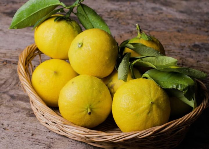 ベルガモット イメージ