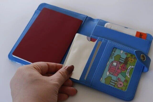 ダイソー スキミング防止カードケース（3枚） カードを入れる