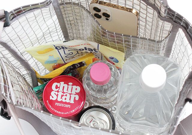 宝島社ムック付録のDODのクリアバッグ8