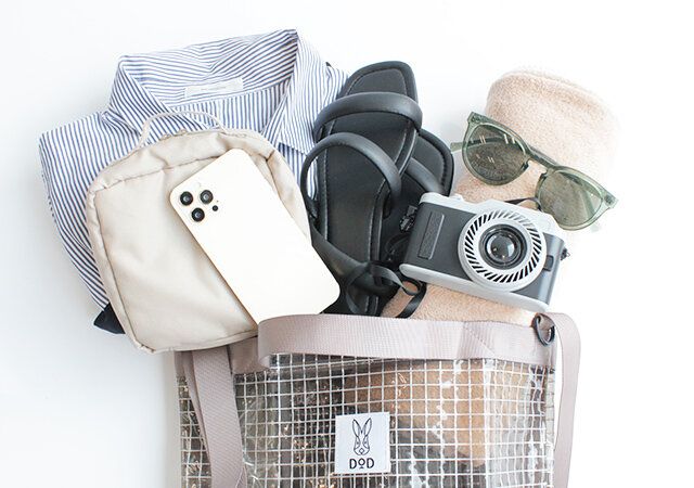 宝島社ムック付録のDODのクリアバッグ9