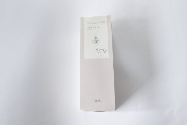 3COINS スリーコインズ スリコ フェイクグリーン パッケージ