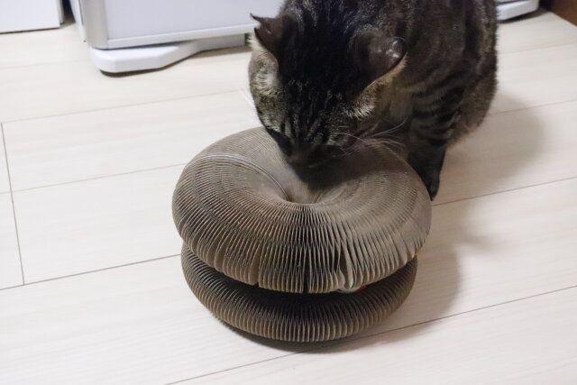 スタンダードプロダクツ アコーディオン風爪とぎ 使用例