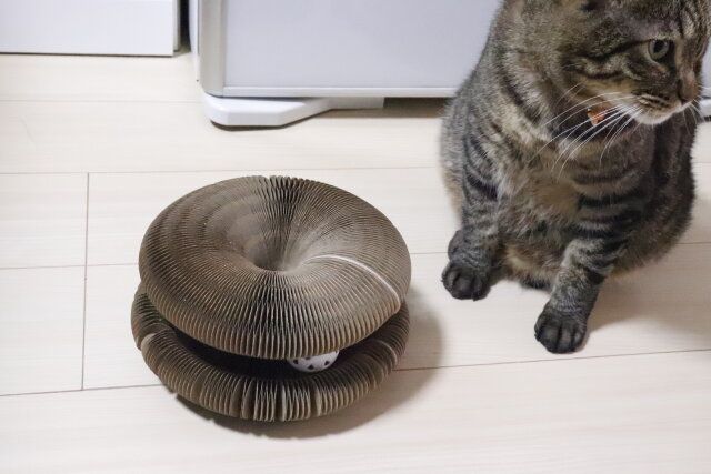 スタンダードプロダクツ アコーディオン風爪とぎ 猫