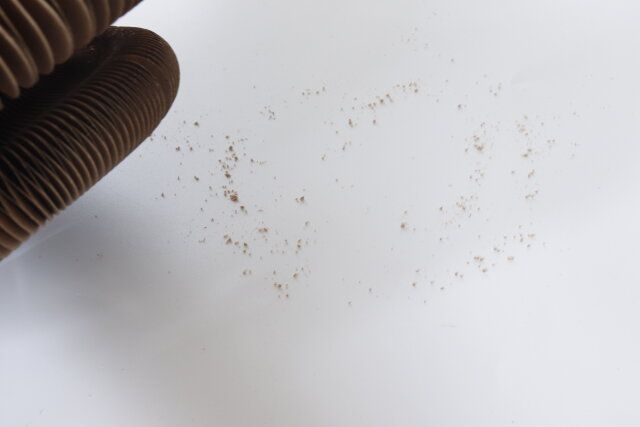 スタンダードプロダクツ アコーディオン風爪とぎ またたび