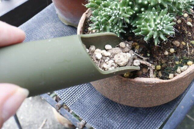 セリア 土入れスリム大・小セット 砂を鉢に入れる