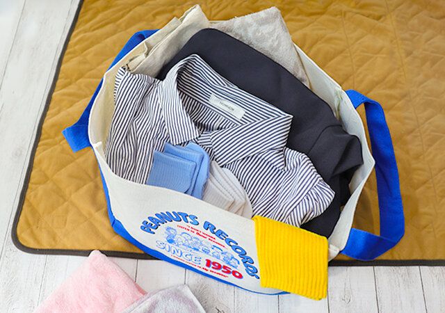 宝島社ムック付録のスヌーピーインテリアトートPEANUTS RECORDSver.6